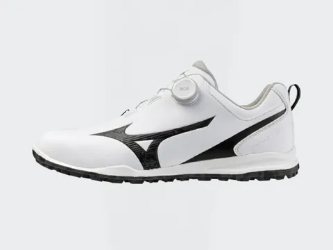 Mizuno Pro 241 アイアン