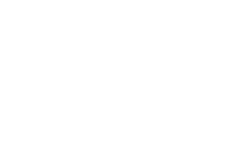 DULLY NA CAT ロゴ