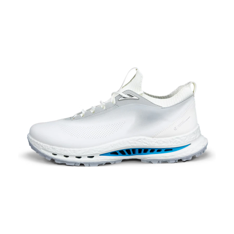 ECCO GOLF ECCO GOLF BIOM C5 MENの商品画像